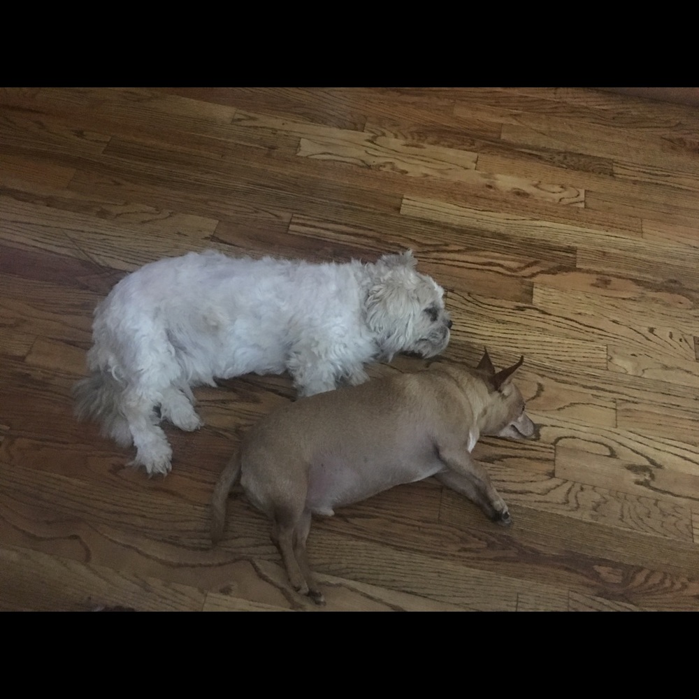 Meet your Posher, Claudine